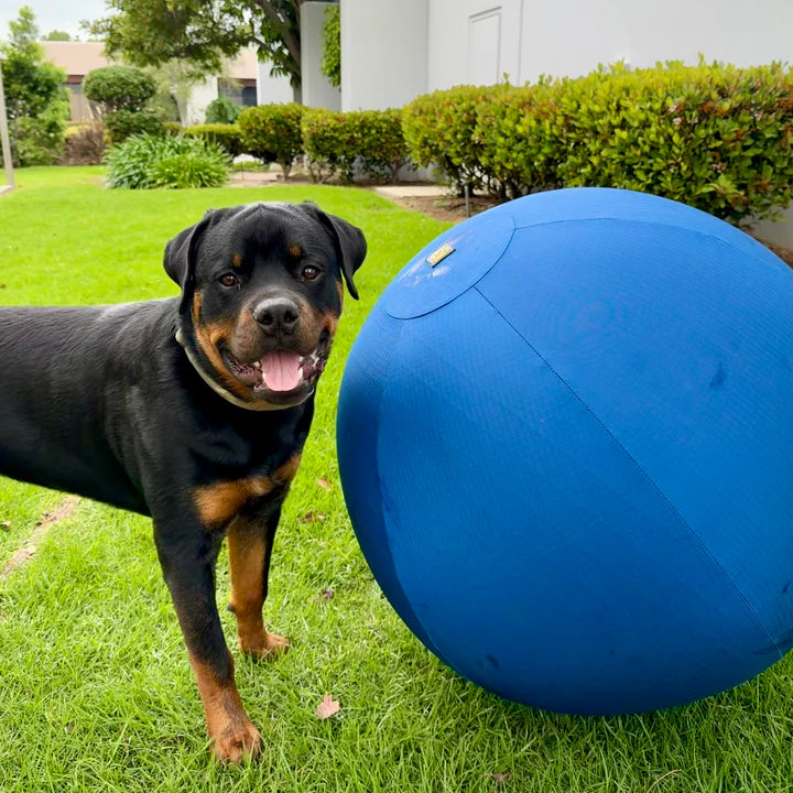Nourva HerdBall