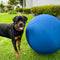 Nourva HerdBall